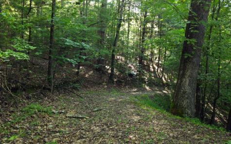 579 Mission Dam Road Hayesville NC 28904
