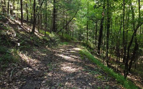 579 Mission Dam Road Hayesville NC 28904