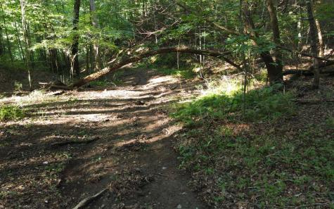 579 Mission Dam Road Hayesville NC 28904