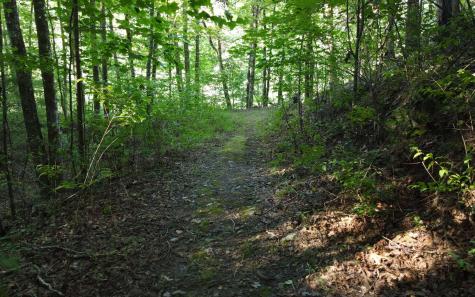 579 Mission Dam Road Hayesville NC 28904