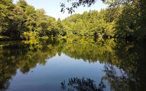 579 Mission Dam Road Hayesville NC 28904