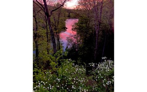 579 Mission Dam Road Hayesville NC 28904