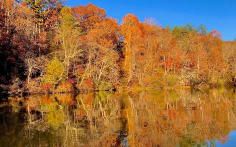 579 Mission Dam Road Hayesville NC 28904