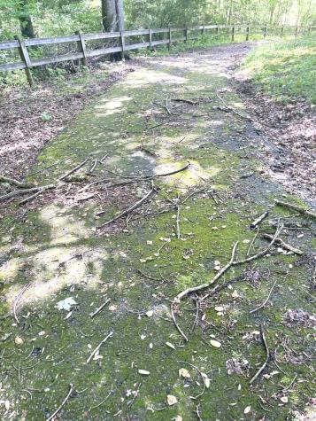 5125 Boiling Springs Road Murphy NC 28906