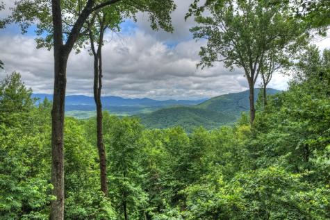 161 Walnut Ridge Ellijay GA 30536