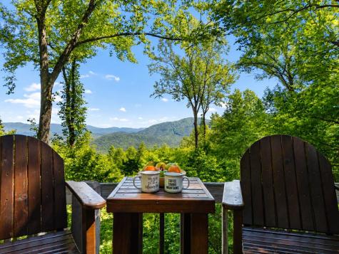 161 Walnut Ridge Ellijay GA 30536