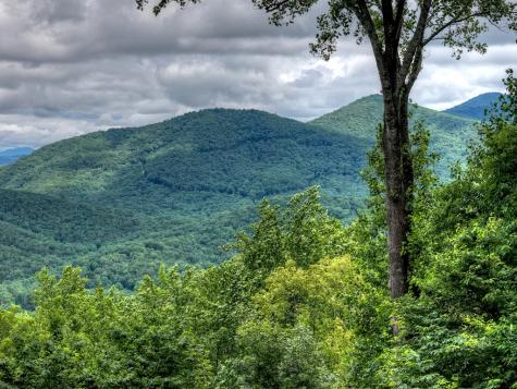 161 Walnut Ridge Ellijay GA 30536