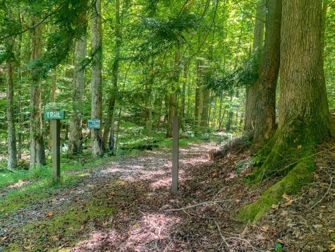 161 Walnut Ridge Ellijay GA 30536