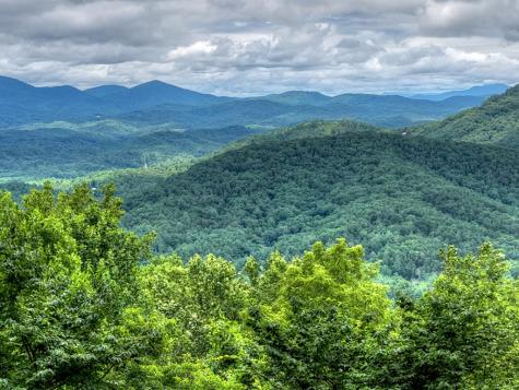 161 Walnut Ridge Ellijay GA 30536