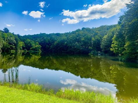 161 Walnut Ridge Ellijay GA 30536