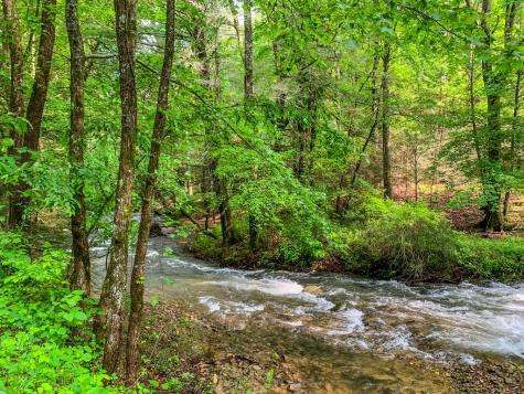 161 Walnut Ridge Ellijay GA 30536