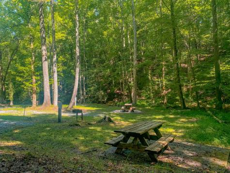 161 Walnut Ridge Ellijay GA 30536