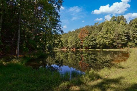 161 Walnut Ridge Ellijay GA 30536