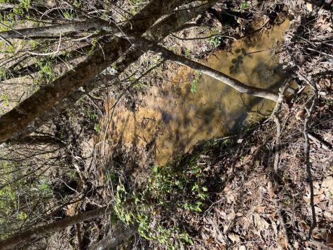 44 Whisper Cove Blairsville GA 30512