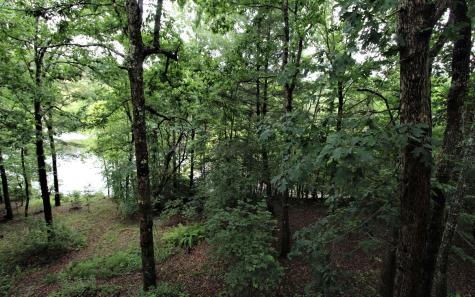 1215 Old Evans Road Murphy NC 28906