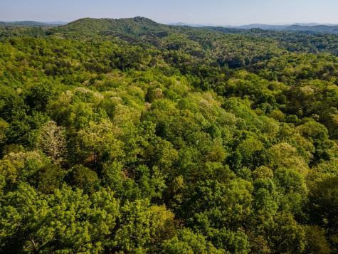 31 Eagle Feather Drive Cherry Log GA 30522