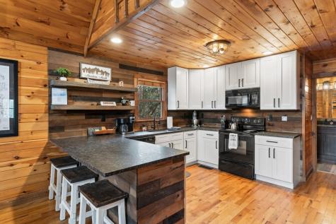 162 Little Falls Drive Mineral Bluff GA 30559