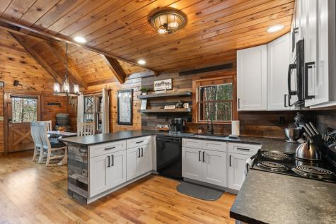 162 Little Falls Drive Mineral Bluff GA 30559