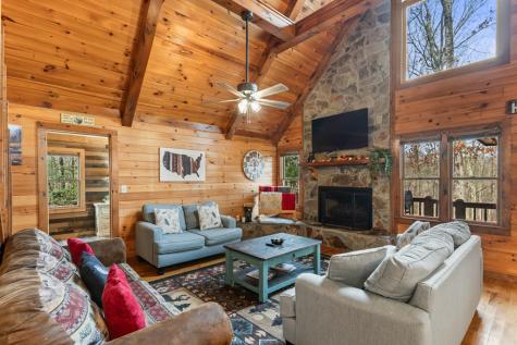 162 Little Falls Drive Mineral Bluff GA 30559