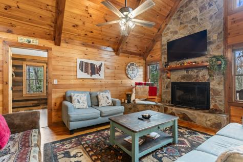 162 Little Falls Drive Mineral Bluff GA 30559