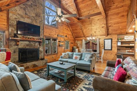 162 Little Falls Drive Mineral Bluff GA 30559