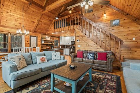 162 Little Falls Drive Mineral Bluff GA 30559