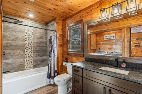 162 Little Falls Drive Mineral Bluff GA 30559