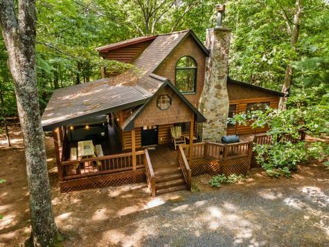 162 Little Falls Drive Mineral Bluff GA 30559