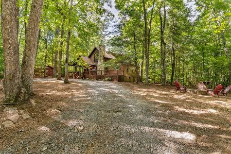 162 Little Falls Drive Mineral Bluff GA 30559