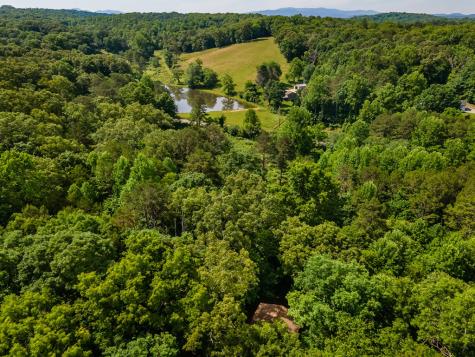162 Little Falls Drive Mineral Bluff GA 30559