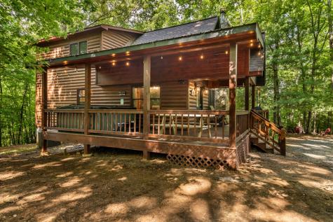 162 Little Falls Drive Mineral Bluff GA 30559