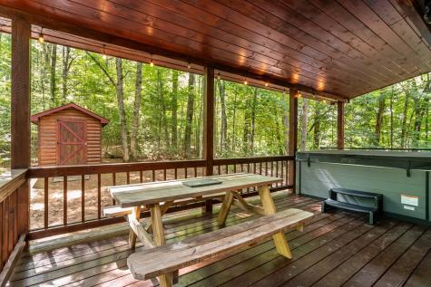 162 Little Falls Drive Mineral Bluff GA 30559