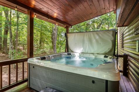 162 Little Falls Drive Mineral Bluff GA 30559