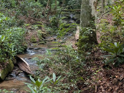 1&2 Water View Lane Hayesville NC 28904