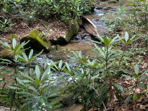 1&2 Water View Lane Hayesville NC 28904