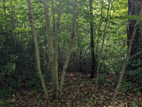 1&2 Water View Lane Hayesville NC 28904