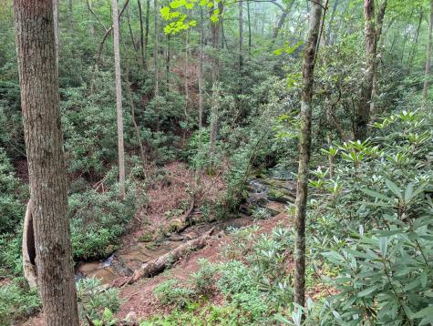 1&2 Water View Lane Hayesville NC 28904