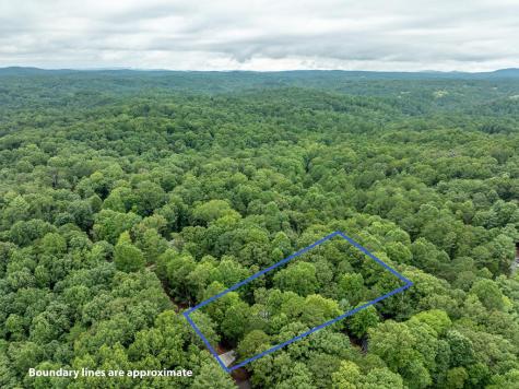 2084 Newport Drive Ellijay GA 30540