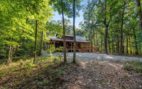 150 Laurel Trace Blue Ridge GA 30513