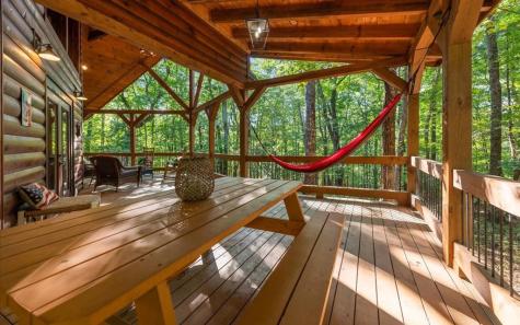 150 Laurel Trace Blue Ridge GA 30513