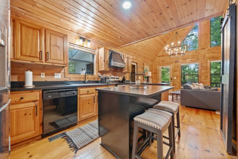 295 Vista Chalet Drive Ellijay GA 30540