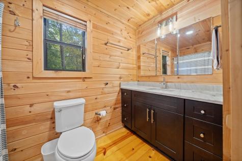 295 Vista Chalet Drive Ellijay GA 30540