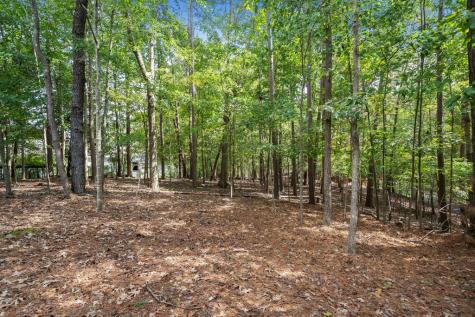 295 Vista Chalet Drive Ellijay GA 30540