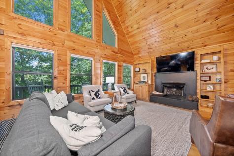 295 Vista Chalet Drive Ellijay GA 30540