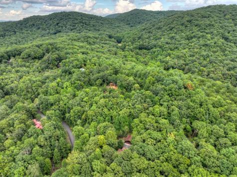 466 Hoot Owl Hill Morganton GA 30560
