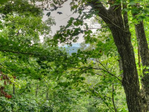 466 Hoot Owl Hill Morganton GA 30560