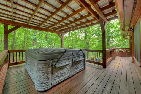 466 Hoot Owl Hill Morganton GA 30560