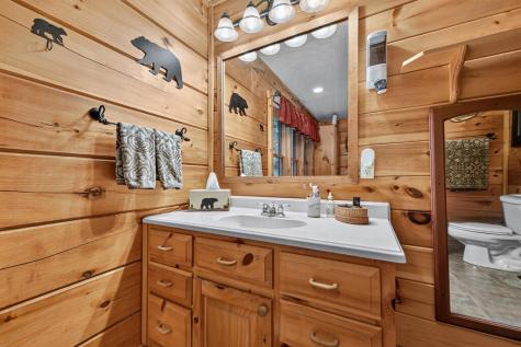 466 Hoot Owl Hill Morganton GA 30560