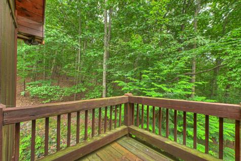 466 Hoot Owl Hill Morganton GA 30560