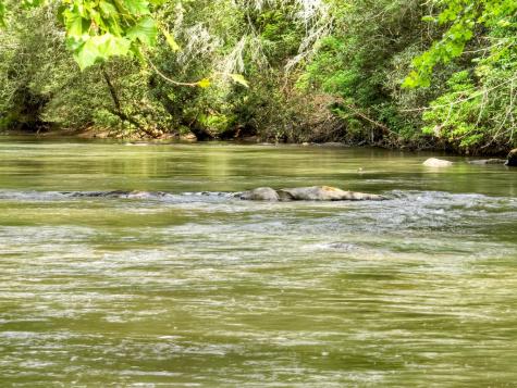 553 Indian Cave Road Ellijay GA 30540
